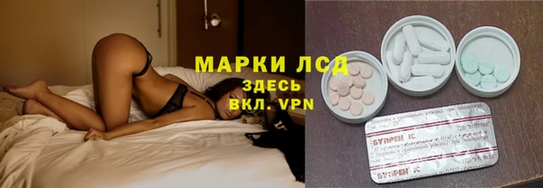 прущие грибы Алексеевка