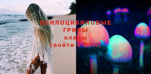 прущие грибы Алексеевка