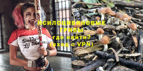 не бодяженный Алексин